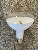 Philips MLR 160W Pflanzenlampe - Wachstumslampe 2 Stück