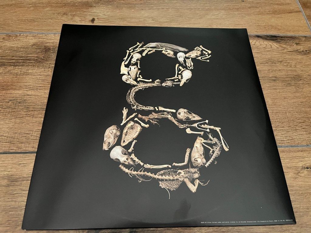 Schallplatten: Garbage - Not Your Kind Of People – Neu (gemäss Beschreibung) aus Uster von mojorisin01 4
