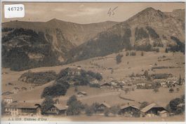 Chateau-d'Oex - Vue generale