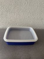 Tupperware Marinierbehälter blau/weiss  Neu 