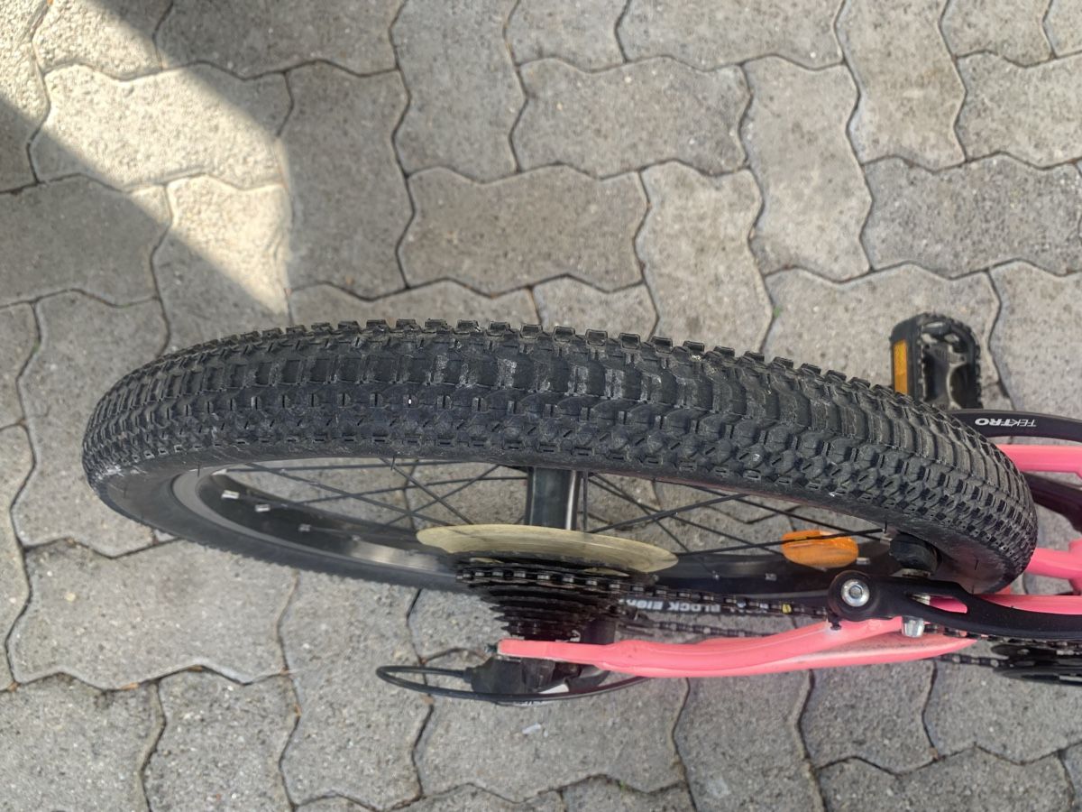 Naloo Biciclette: Naloo chameleon 20 Zoll – Usato da Binz venduto da denise014 5