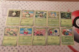 10 englische Pokemon Karten Roselia Roserade Sunflora