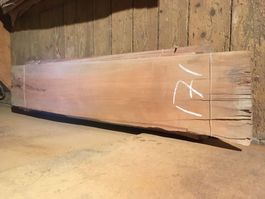 Birnbaum Furnier Bund 171