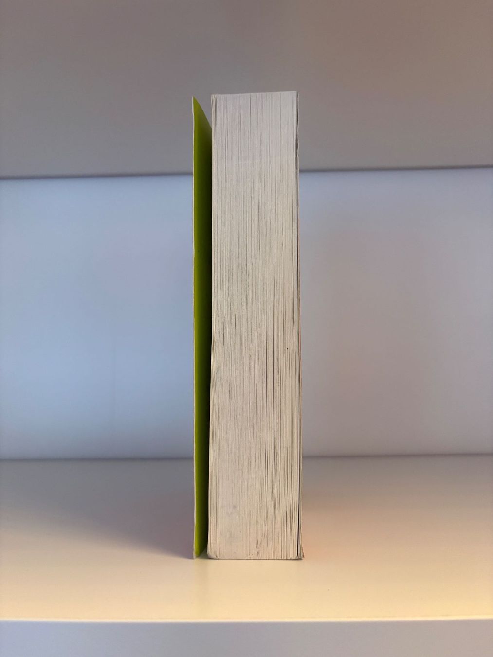 Libri: Seide und Schwert - Kai Meyer – Usato da Steffisburg venduto da elsa.catalina 3