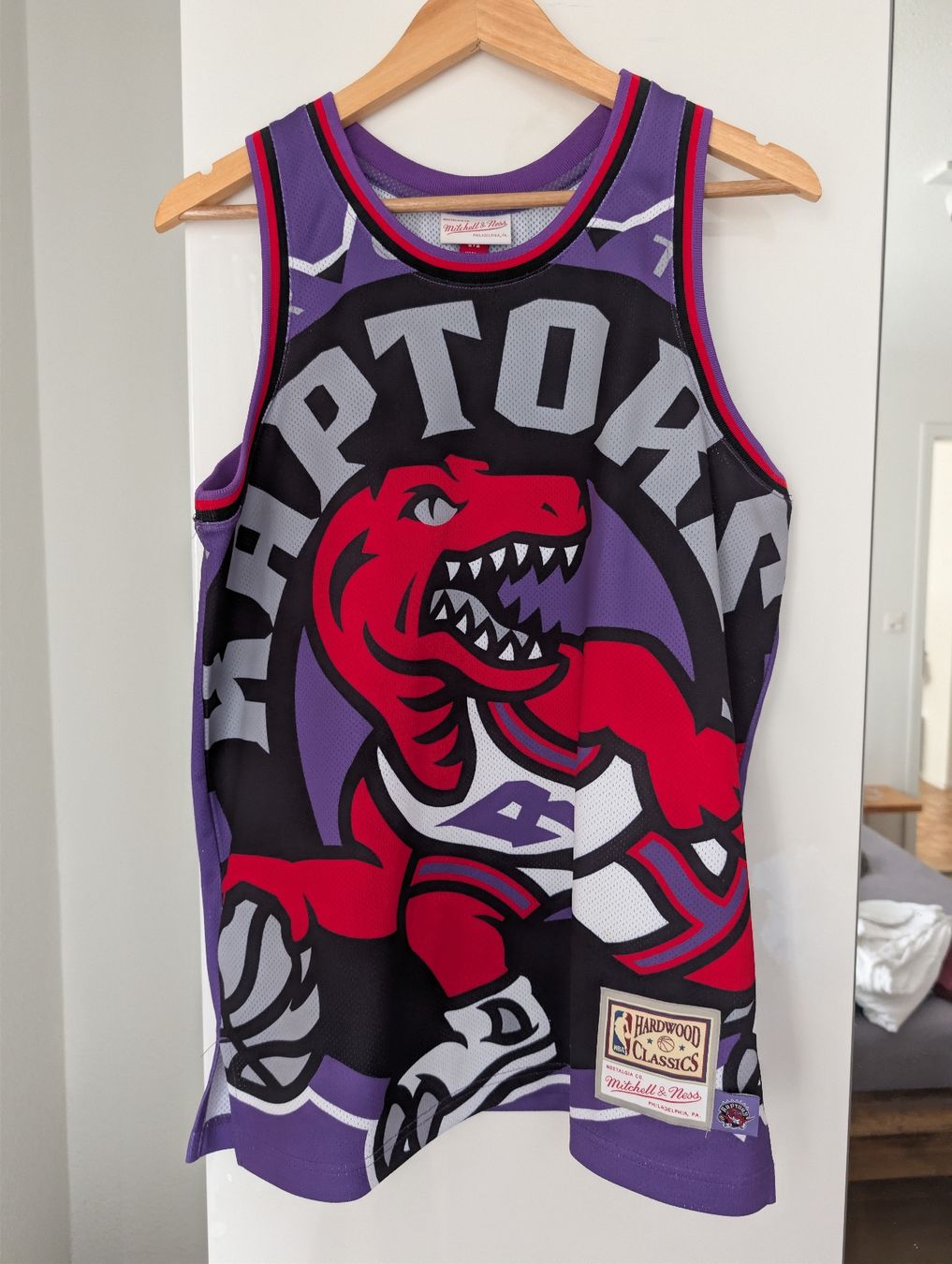 Canottiere & Pantaloni: NBA Jersey Raptors Full Print – Usato da Gossau SG venduto da TheBibiaon