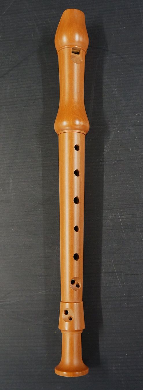 Instruments de musique: Küng Sopran Blockflöte – D'occasion à Basel par bk_brockibasel 1