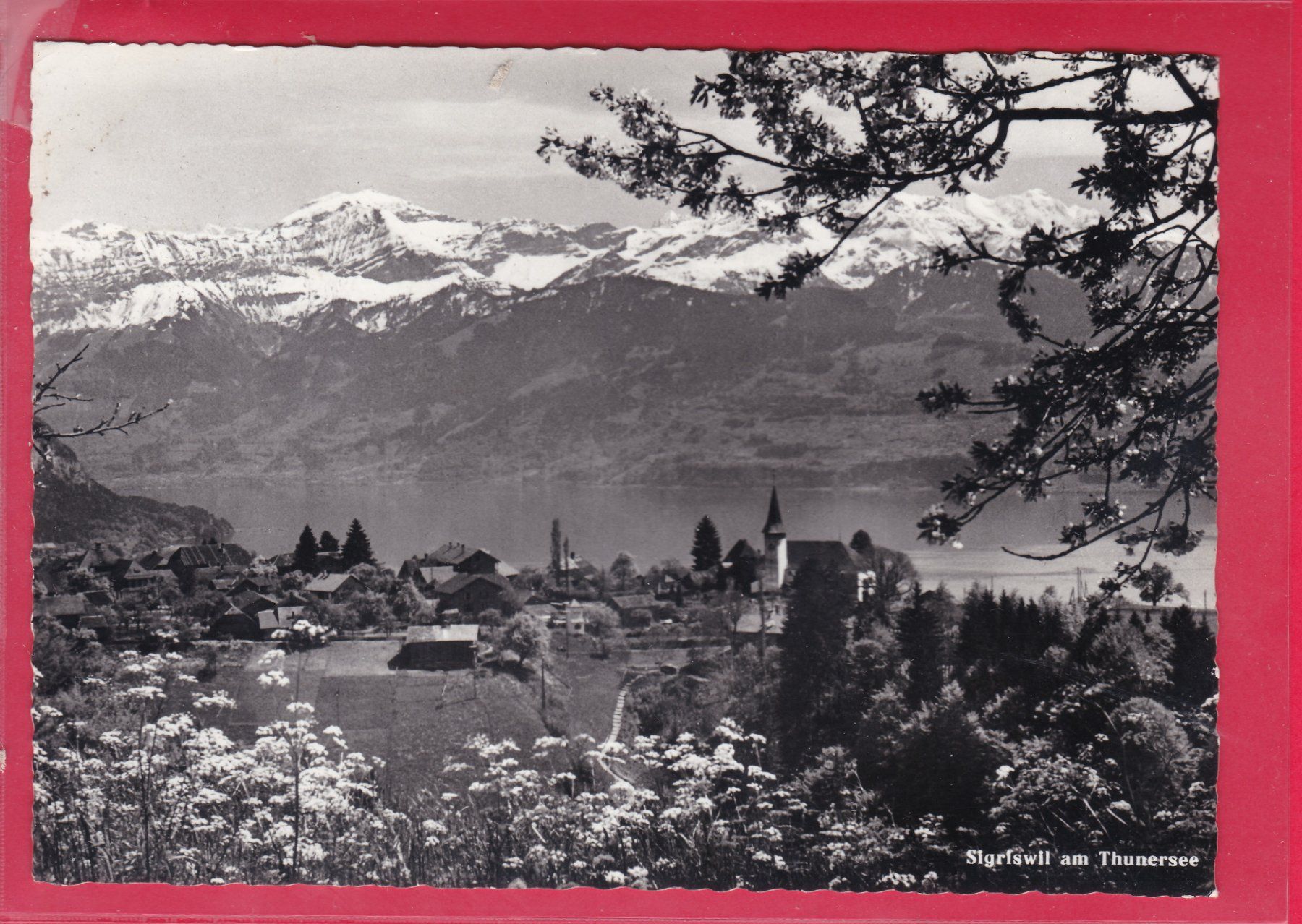 Ansichtskarten: SIGRISWIL AM THUNERSEE, 18.9.1970 – Gebraucht aus Oberrieden von Gebirgsstelze