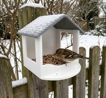 Neues Vogelhaus  - Futterhaus Vogel