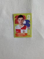 Panini Bild CRO 11