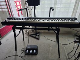 Roland Midi Keyboard Controller A-88