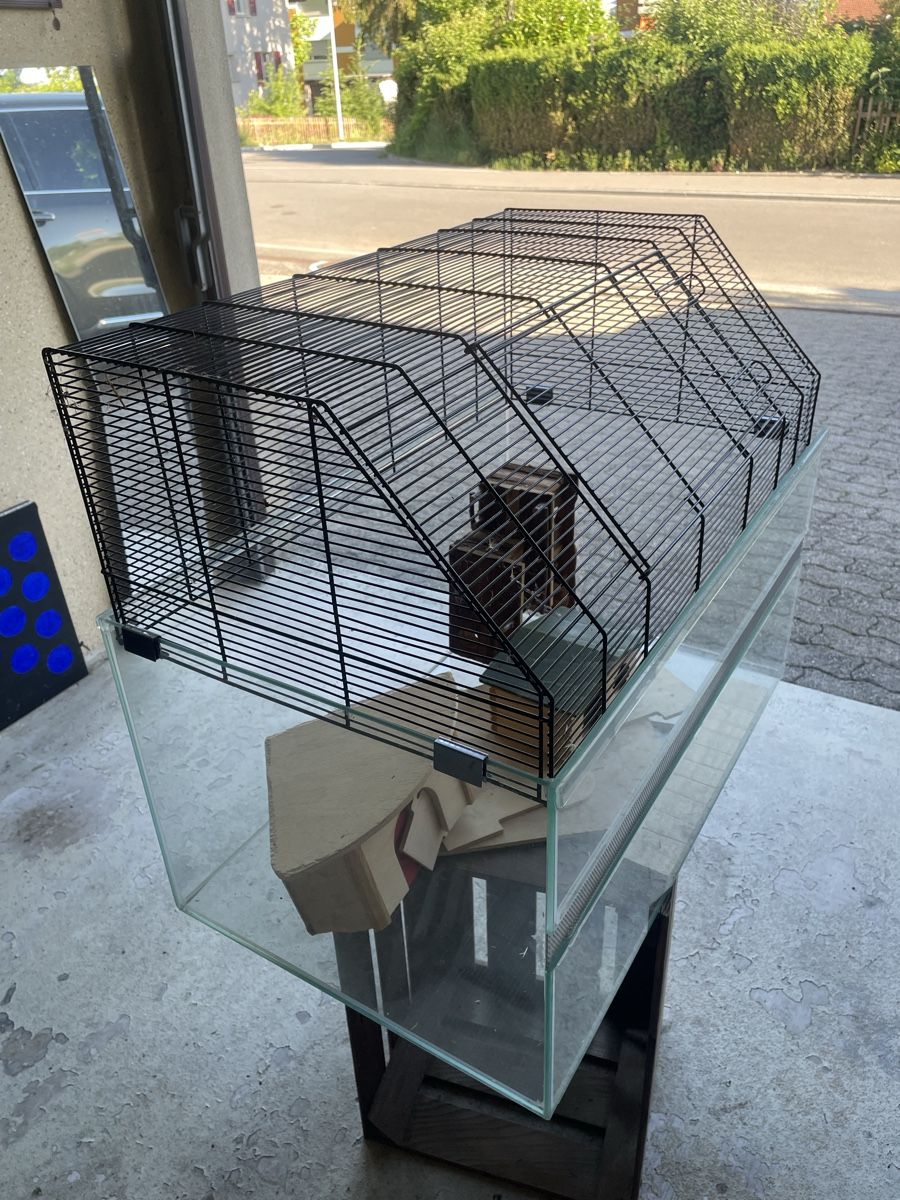 Terrario: Hamsterterarium – Usato da herzogenbuchsee venduto da danny08 4