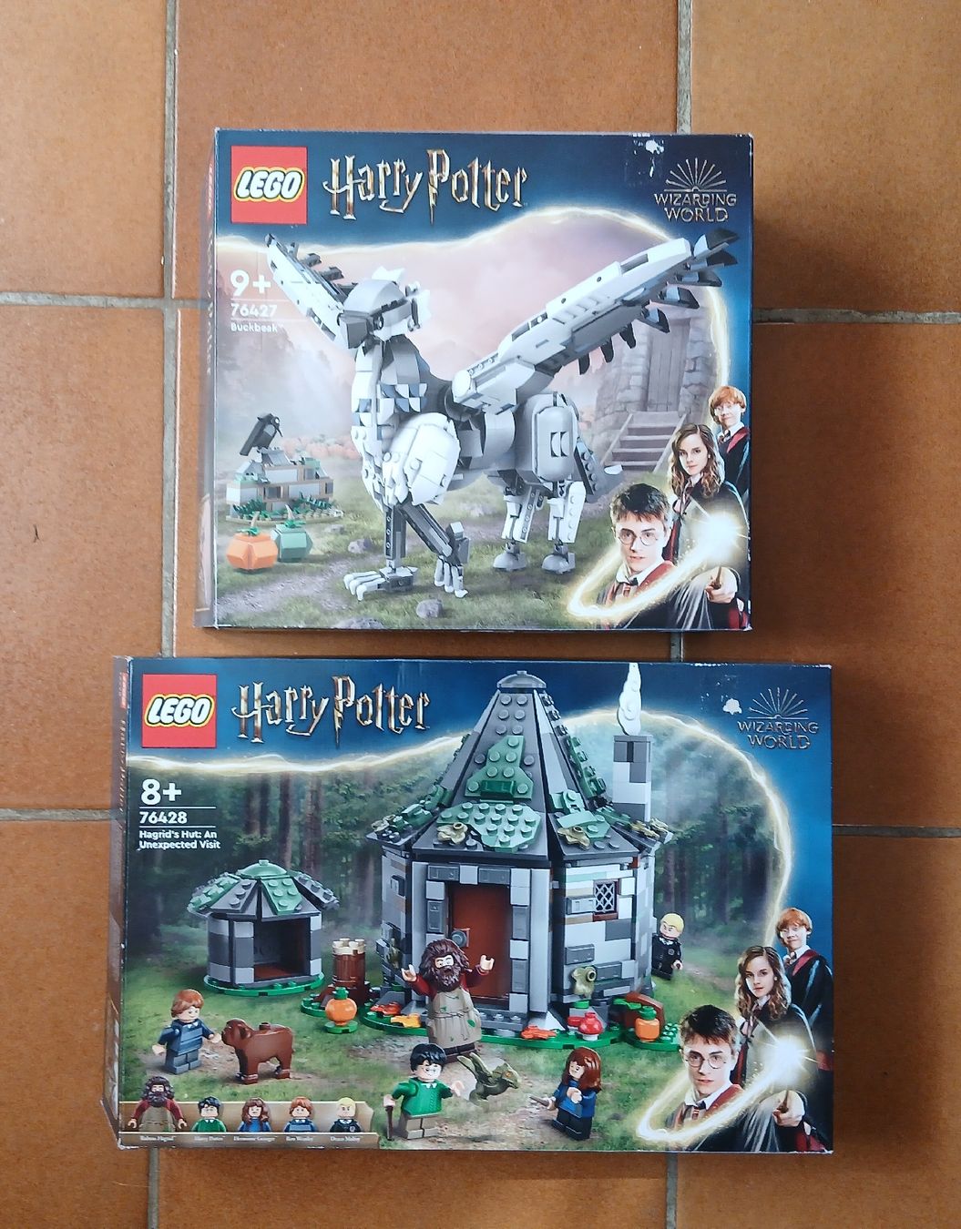 Lego Baukästen: Lot de boîte Lego - VIDE – Defekt aus Sciernes-d'Albeuve von Dojo004 1