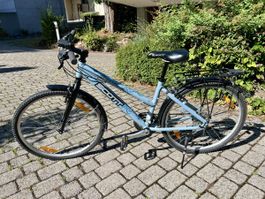 Damen Velo