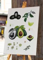 A3 Frucht Druck Art Print von Handgemalte Botanische Avocado