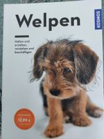 Buch Hunde - Welpen Ratgeber