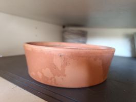 Terracotta Topf, Blumentopf, Ø 20cm, ideal für Kräuter 🪴 