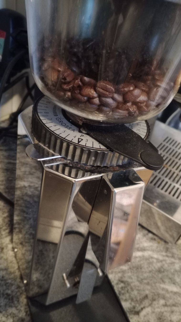 Profitec Macchine per caffè & Macchine per espresso: Profitec Mühle Pro M54 – Usato da Bern venduto da masgarro 2