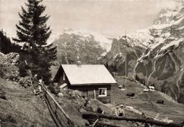 Mittel Arni bristenblick faulen Windgalle