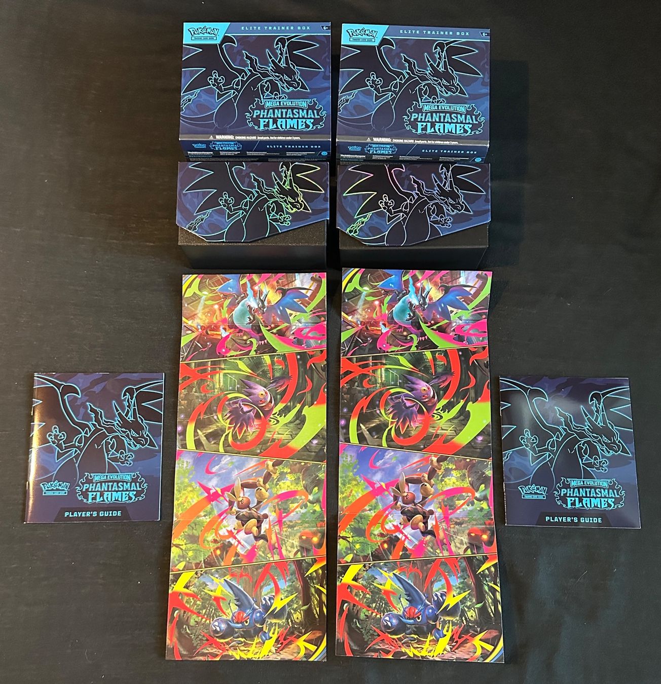 Pokémon Carte collezionabili: PHANTASMAL FLAMES POKEMON SAMMLUNG (2) – Nuovo (secondo la descrizione) da Binz venduto da Cediboy 7