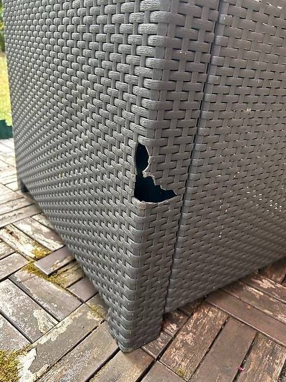 Fauteuils: Sessel rattan  -    Rattansitzt – D'occasion à Bern par jonathanconconi 2