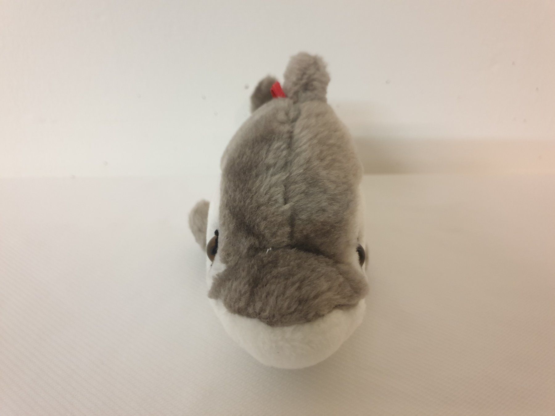 Giocattoli: Plüsch Delphin Grösse 10cm – Usato da Malters venduto da burzi 1