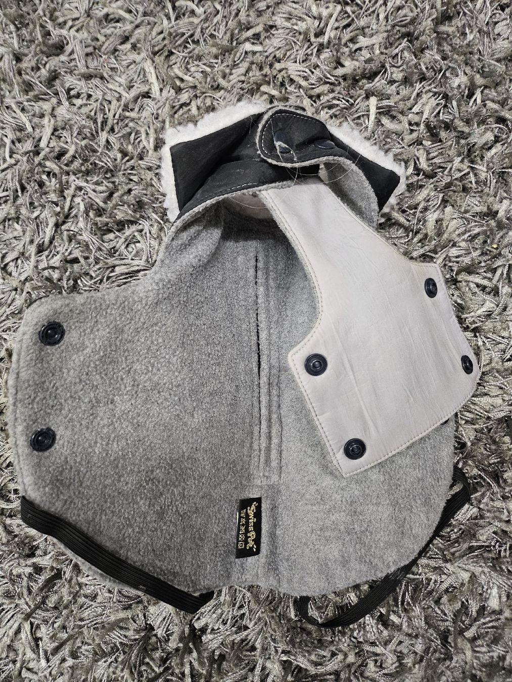 Bekleidung: Winterjacke/ Regenjacke chihuahua – Neu (gemäss Beschreibung) aus Zürich von iwa_7wfj 1
