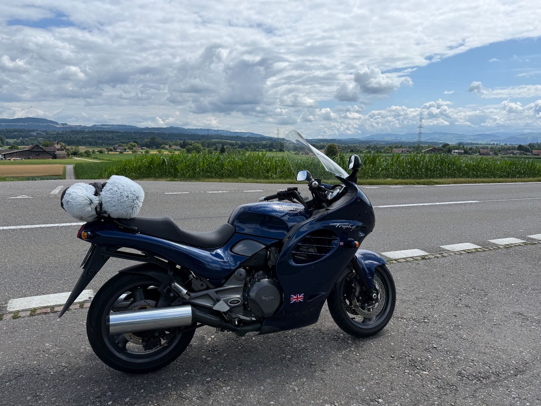 Triumph Touring: Triumph Trophy 1200 MFK 07/2025 – Usato da Rothenthurm venduto da norvil61 1