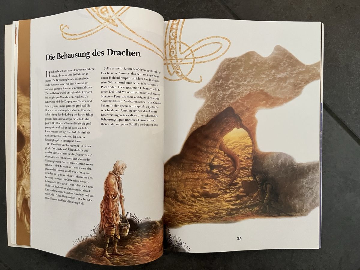 Libri: Das Buch der Drachen - Fantasybuch 1996 – Usato da Inkwil venduto da RetrOhyeah_Schweiz 3