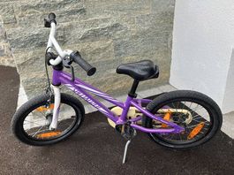 Kinderfahrrad Specialized Hotrock 16 Zoll