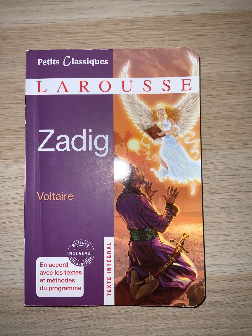 Libri: Zadig – Usato da Eschenbach SG venduto da someonecake