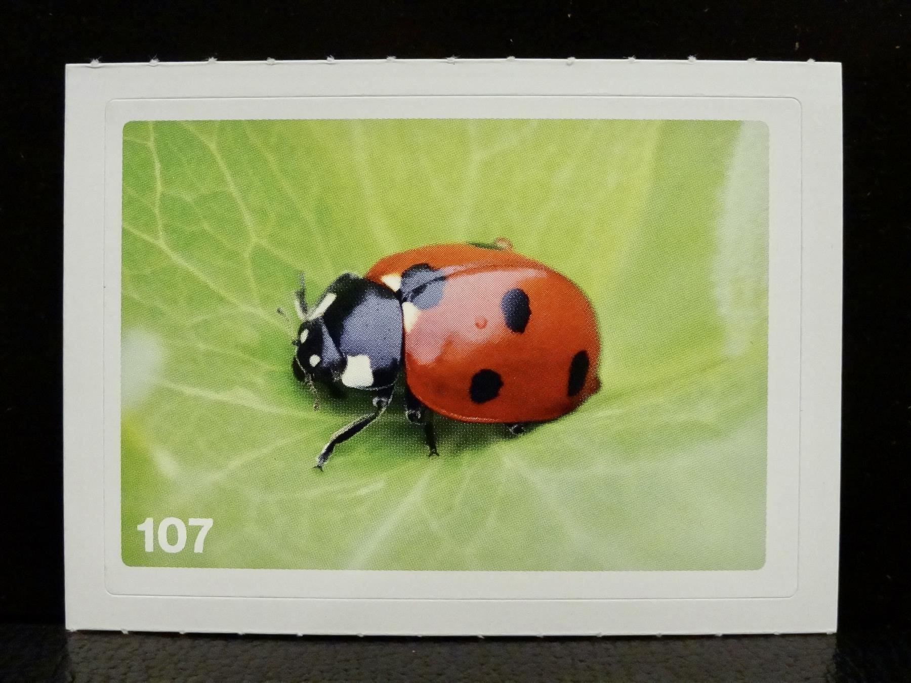 Migros Carte collezionabili: MIGROS MANIA Nature Detectives Nr. 107 – Nuovo e nell'imballaggio originale da Kerzers venduto da zimmergruen