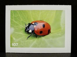MIGROS MANIA Nature Detectives Nr. 107