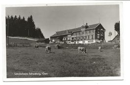 Gais (AR) Schülerheim Schwäbrig - Ferienkolonie - Foto-AK