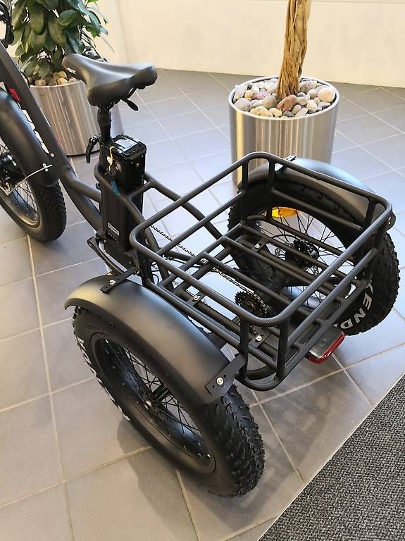 Veicoli elettrici: Elektro Dreirad EFATI – Usato da Lyssach venduto da Hoferbike 1