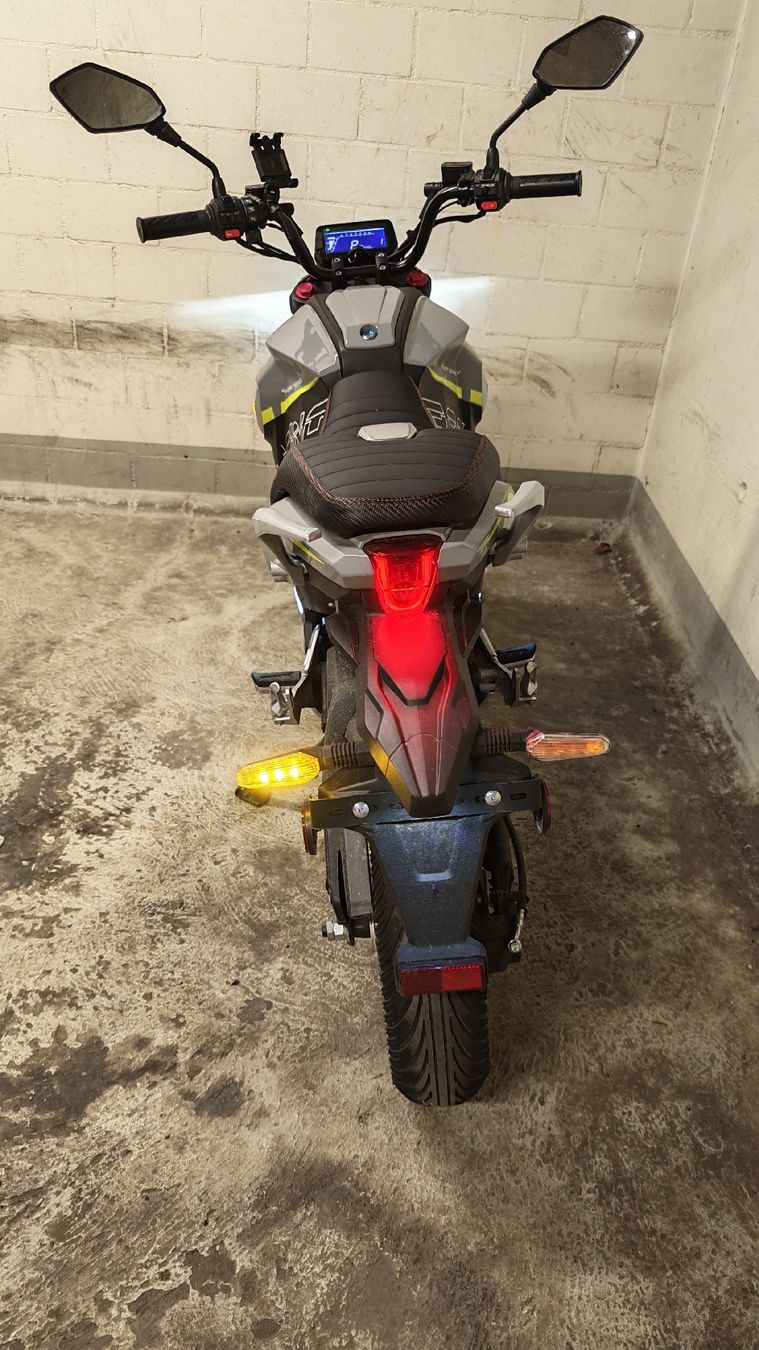 Scooter: E-Roller Forza Racing 25 km/h – Usato da Frenkendorf venduto da gnagich 5
