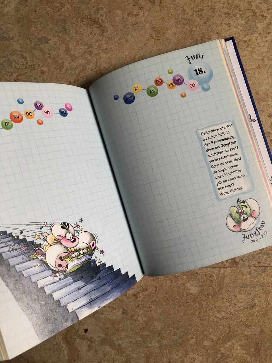 Libri: Diddl Sternzeichen-Schülerkalender, Vintage 2003 – Nuovo (secondo la descrizione) da Brugg AG venduto da Vintage_und_Allerlei 2