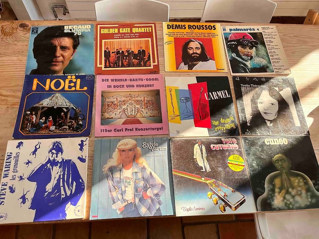 Dischi in vinile: Disques vinyls 33 tours – Usato da Ferreyres venduto da Alex_Andro