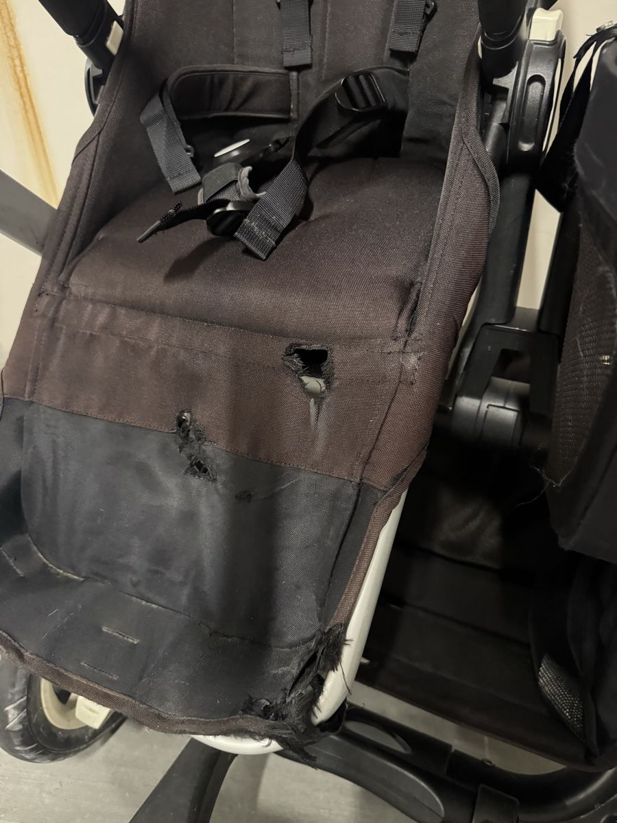 Bugaboo Kinderwagen: Bugaboo Donkey Geschwisterwagen  – Gebraucht aus Basel von thaissousa 5