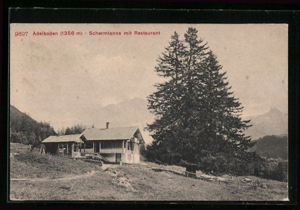 Cartoline postali: AK Adelboden, Schermtanne mit Restaurant – Usato da Berlin venduto da bartko-reher