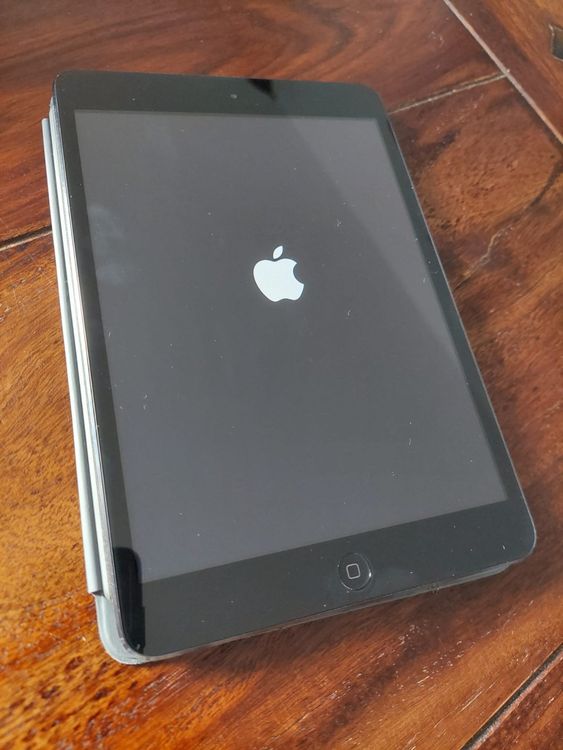 Apple iPad mini 2 A1432 mit SDCard Reader Kaufen auf Ricardo