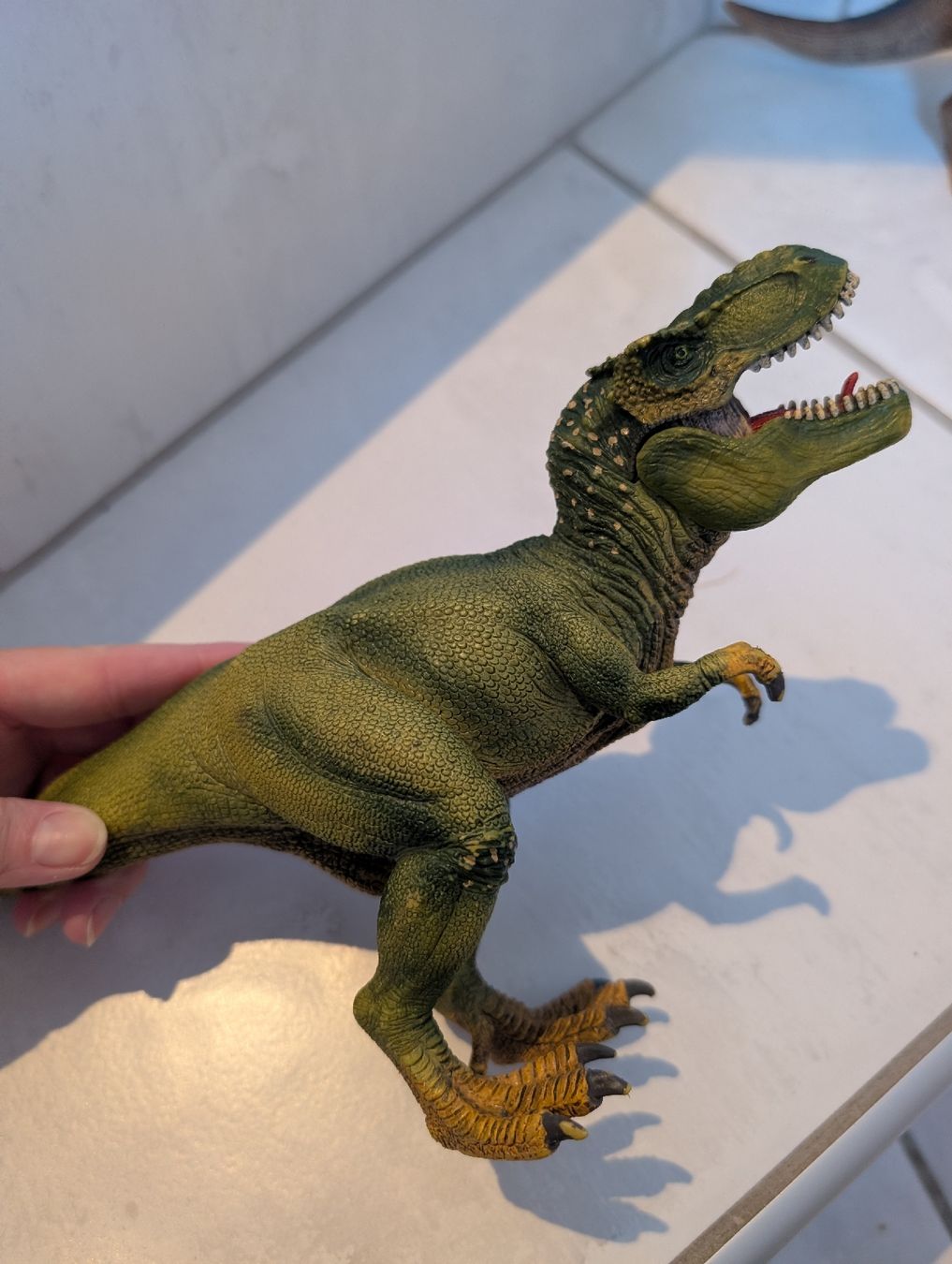 Schleich Giocattoli: Dinoset Schleich – Usato da Gebenstorf venduto da fa1zz 1