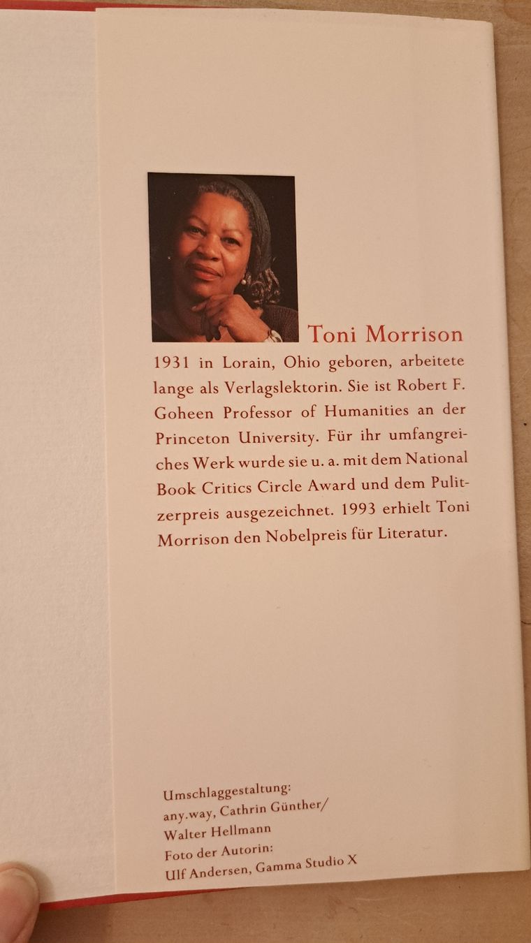 Libri: Toni Morrison - Liebe (Roman) – Usato da Zürich venduto da chusel 3