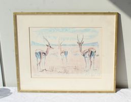 Fritz Hug Original Litho Gazellen Afrika 280/350 Handsign.