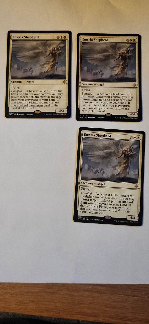 Magic The Gathering Carte collezionabili: MTG - Emeria Shepherd – Usato da Münsingen venduto da Heroism2010