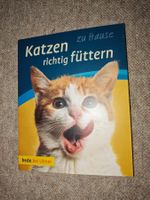 Katzen richtig füttern zu hause / bede bei Ulmer