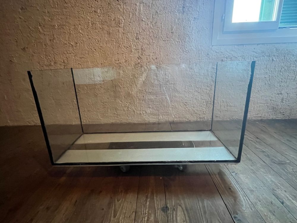 Nagarium/Terrarium aus Glas Kaufen auf Ricardo