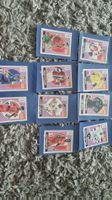 WM Panini Extra sticker