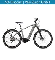 Flyer Gotour6 3.10