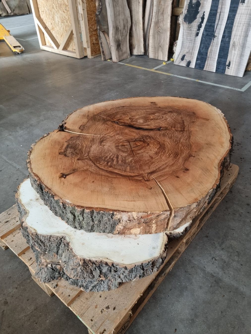 Holzartikel: Esche Baumscheibe Salontisch Baumstammtisch Couchtisch 12cm – Gebraucht aus Rheineck von Dein_Wunschholz 6