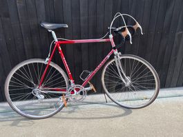 Colnago Master Del Tongo mit Campagnolo C Record